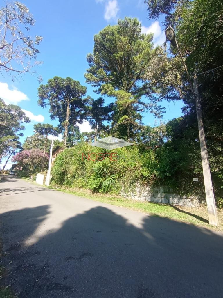 Area